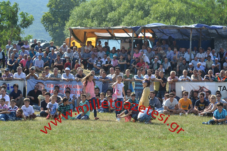 2015 SECEK (25).png